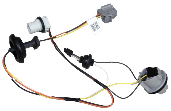 Lampenfassung für Rückleuchte außen Ford Focus MK4