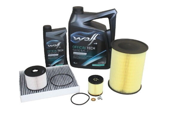 Inspektionskit Ford 2,0 Diesel