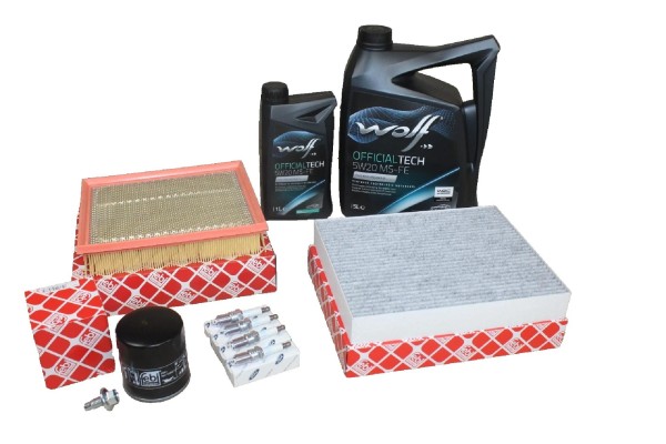 Inspektionskit Ford 2,0 Ecoboost