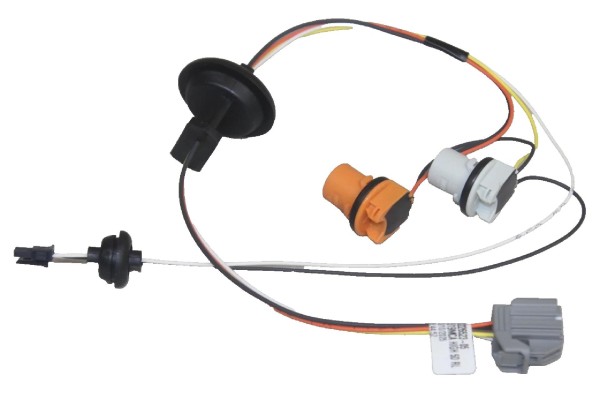Lampenfassung für Rückleuchte außen Ford Focus MK4