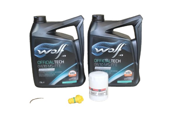 Ölwechselkit 5,0 V8 Benzinmotor Ford Mustang
