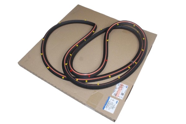 Türdichtung hinten links Ford C-Max