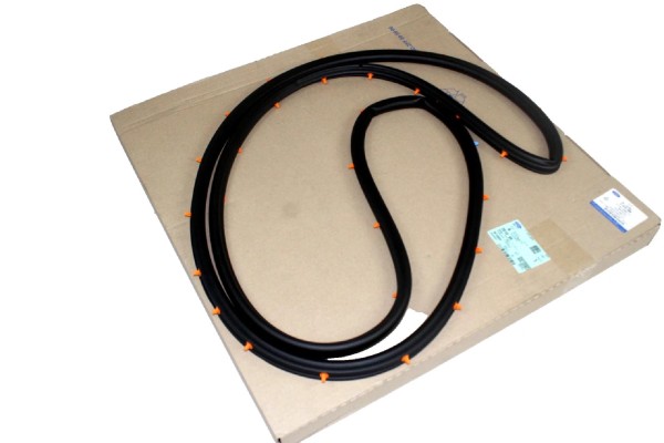 Türdichtung hinten links Ford Kuga MK2