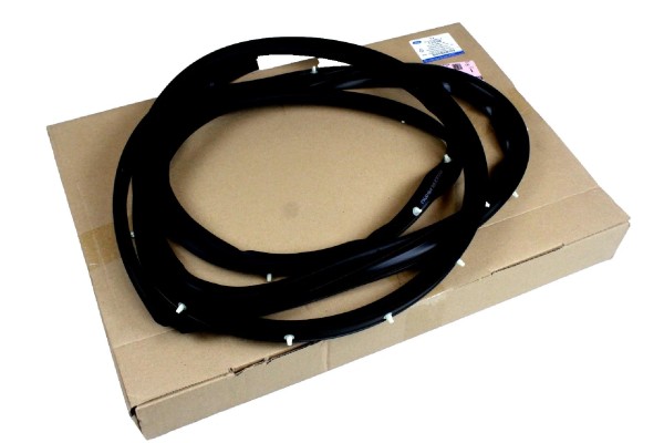 Türdichtung hinten links Ford Ecosport