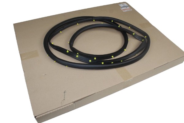Türdichtung hinten links Ford Galaxy