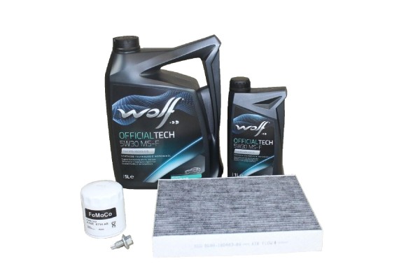 Wartungskit Ford 2,0 Ecoboost