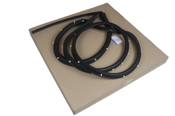 Türdichtung hinten links Ford Ecosport