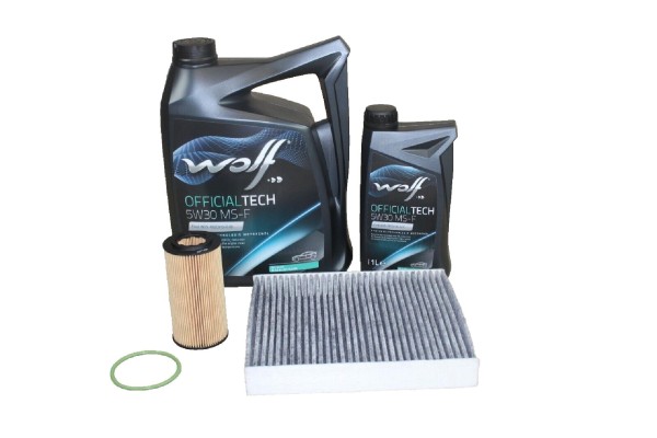 Wartungskit 2,5 V5 Ford Mondeo - S-Max - Kuga