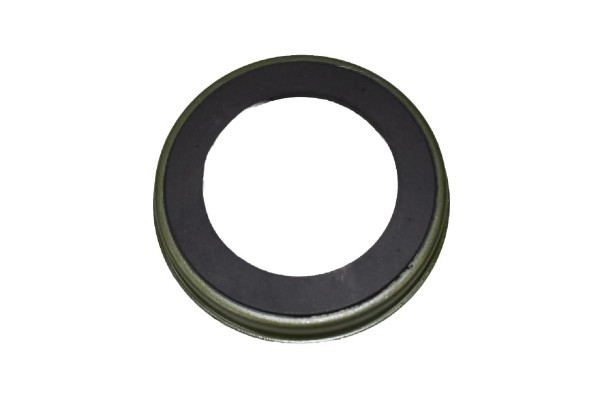 ABS Ring hinten Ford Focus - Fiesta - Fusion