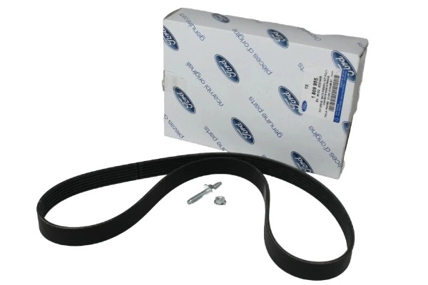 Keilrippenriemen Ford 1,25 + 1,4 + 1,6 16V