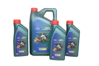 Vorschau: Inspektionskit 5,0 V8 Benzinmotor Ford Mustang Vorschau: Inspektionskit 5,0 V8 Benzinmotor Ford Mustang