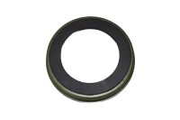 ABS Ring hinten Ford Focus - Fiesta - Fusion ABS Ring hinten Ford Focus - Fiesta - Fusion