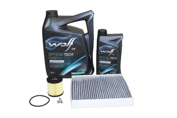Wartungskit Ford 2,0 Diesel