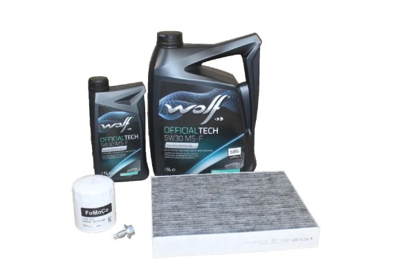 Wartungskit Ford 2,0 Ecoboost