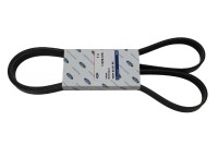 Keilrippenriemen 1,4 + 1,6 16V Ford Focus Keilrippenriemen 1,4 + 1,6 16V Ford Focus