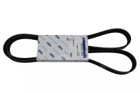 Keilrippenriemen 1,8 Diesel Ford Focus MK1 Keilrippenriemen 1,8 Diesel Ford Focus MK1