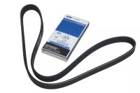 Keilrippenriemen Ford 2,0 Diesel Keilrippenriemen Ford 2,0 Diesel