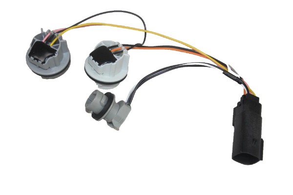 Lampenfassung für Rückleuchte Ford MK3