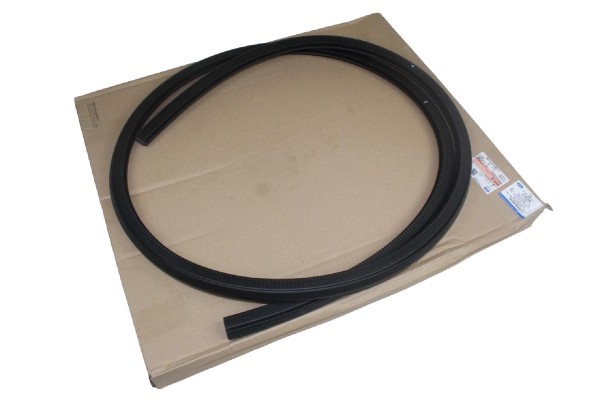 Dichtung Türdichtung Kantenschutz Einstieg hinten Ford Focus 4 + 5 türig MK4
