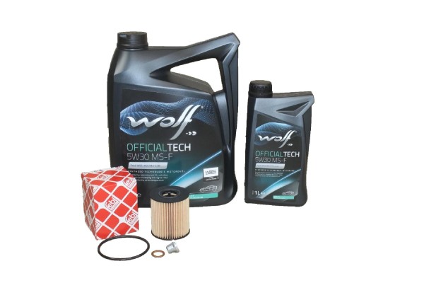 Ölwechselkit Ford 2,0 Diesel