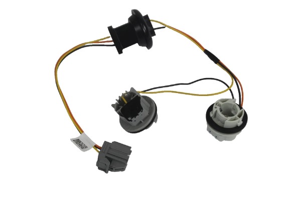 Lampenfassung für Rückleuchte außen Ford Focus MK4