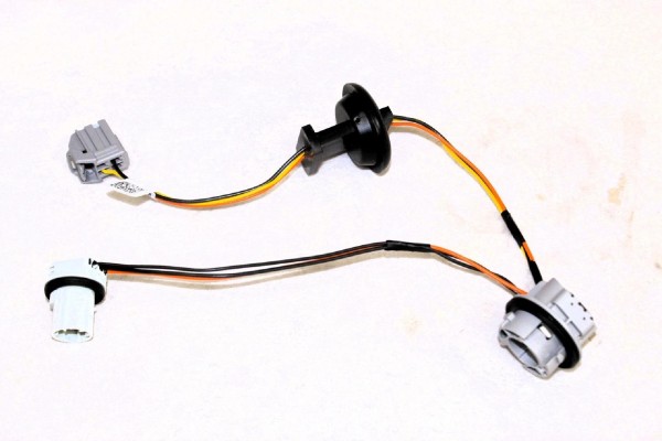 Lampenfassung für Rückleuchte außen Ford Focus MK4