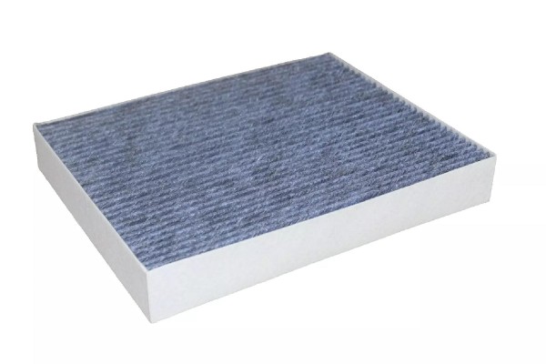 Pollenfilter Plus Antiallergikum