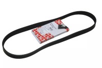 Keilrippenriemen Ford 1,5 Diesel NEO Ecoblue Keilrippenriemen Ford 1,5 Diesel NEO Ecoblue