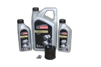 Ölwechselkit Ford 2,0 EcoBlue Diesel Ölwechselkit Ford 2,0 EcoBlue Diesel