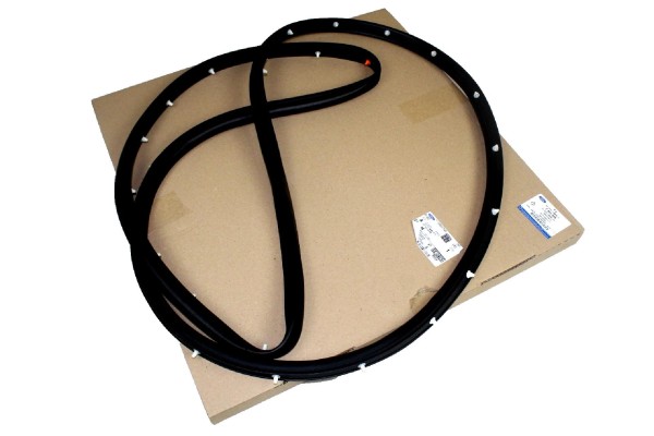 Türdichtung hinten links Ford Mondeo Kombi MK5