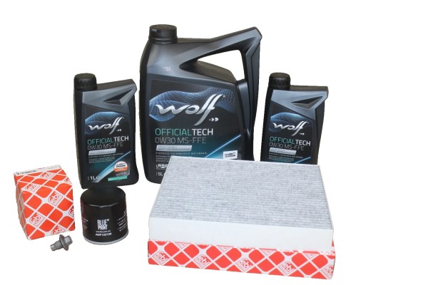 Wartungskit Ford Edge 2,0 EcoBlue Diesel