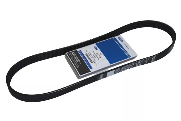 Keilrippenriemen Ford 1,5 Diesel NEO Ecoblue