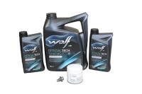 Ölwechselkit Ford 2,0 EcoBlue Diesel Ölwechselkit Ford 2,0 EcoBlue Diesel