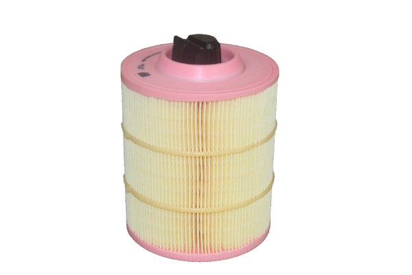 Luftfilter Ford 2,2 Diesel