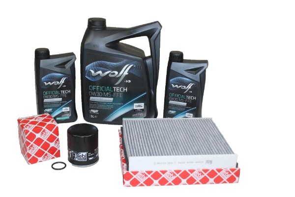 Wartungskit Ford 2,0 Diesel