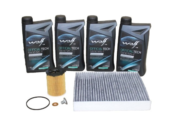 Wartungskit 1,6 Diesel Ford Focus MK2
