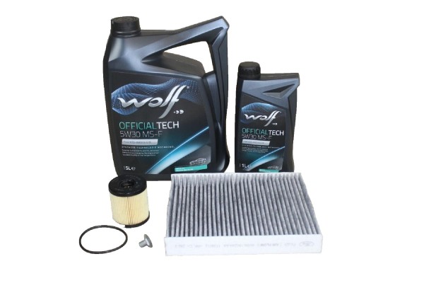 Wartungskit Ford 2,0 Diesel