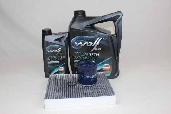 Wartungskit Ford 2,0 Diesel