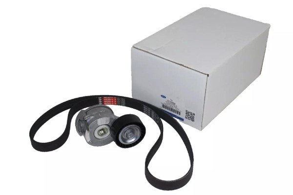 Keilrippenriemensatz Ford 2,0 Diesel