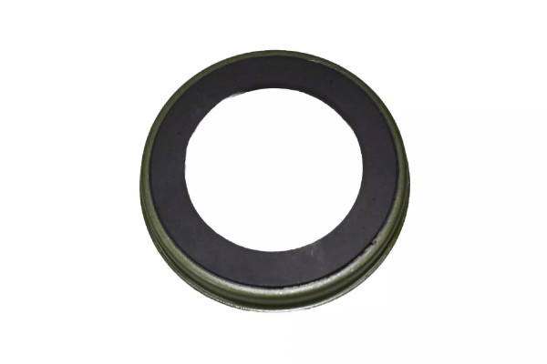 ABS Ring hinten Ford Focus - Fiesta - Fusion