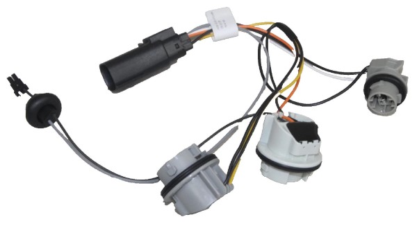 Lampenfassung für Rückleuchte Ford MK3