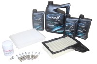 Inspektionskit 5,0 V8 Benzinmotor Ford Mustang Inspektionskit 5,0 V8 Benzinmotor Ford Mustang