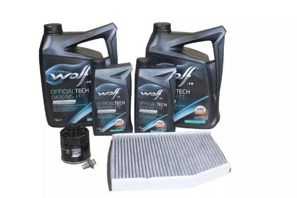 Wartungskit 2,0 Diesel Ford Transit Allradantrieb