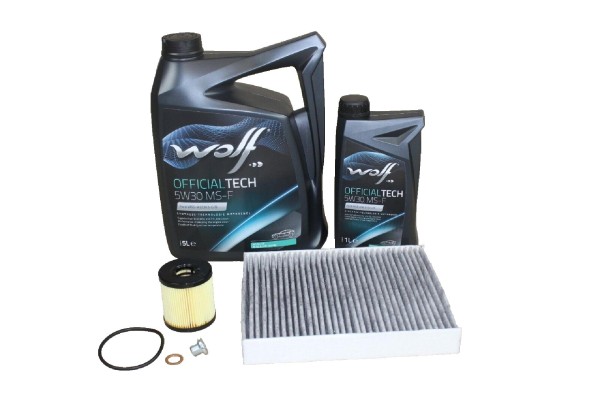 Wartungskit Ford 2,0 Diesel
